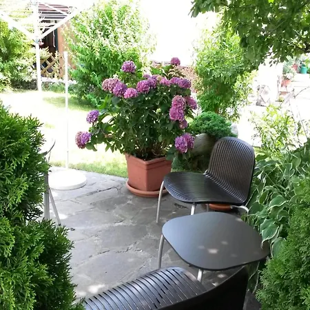 Beautiful Sunny In Apartment