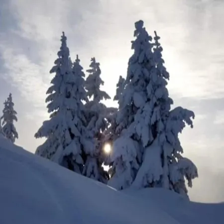 Apartment In Near Lift Gaschurn